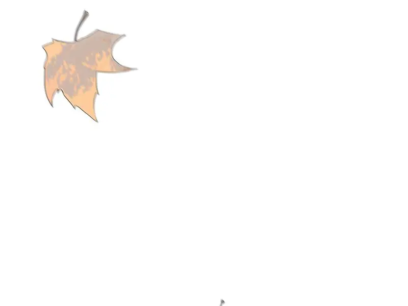 Tả Anh Tiểu Thư Chapter 1 - 52