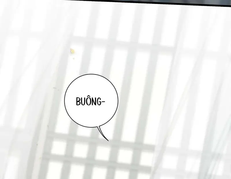 Tả Anh Tiểu Thư Chapter 6 - 6