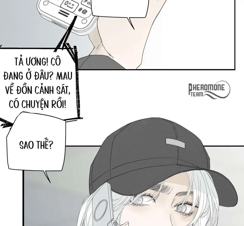 Tả Anh Tiểu Thư Chapter 7 - 19