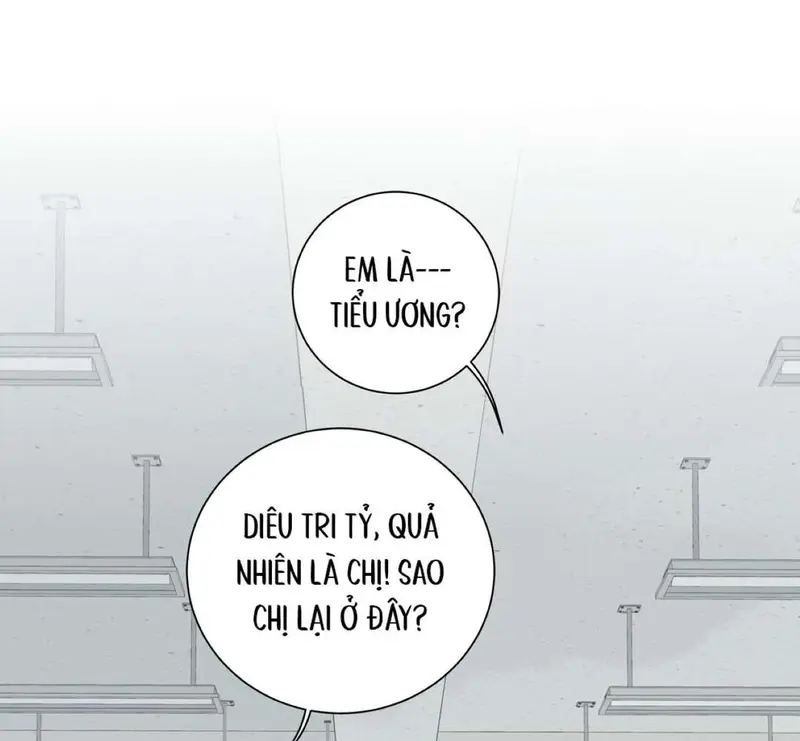 Tả Anh Tiểu Thư Chapter 16 - 61