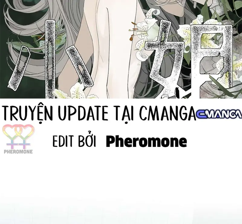 Tả Anh Tiểu Thư Chapter 17 - 2