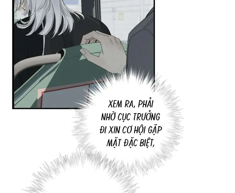 Tả Anh Tiểu Thư Chapter 18 - 21