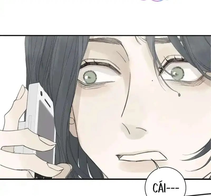 Tả Anh Tiểu Thư Chapter 22 - 7